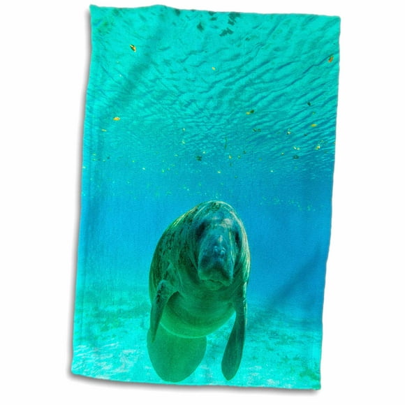 Texas 3dRose Flowers by Highway and The Llano River Towel 15 x 22 Texas 3dRose Flowers by Highway and The Llano River Towel 15 x 22